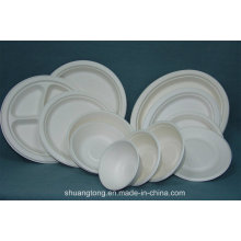 Sugarcane Pulp Tableware Plate Bowl Clamshell Biodegradable Tray